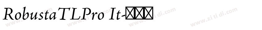 RobustaTLPro It字体转换
